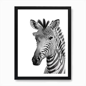 Zebra Portrait 1 Art Print