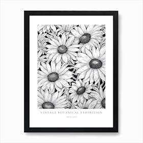 Oxeye Daisy B&W Vintage Botanical Poster Art Print