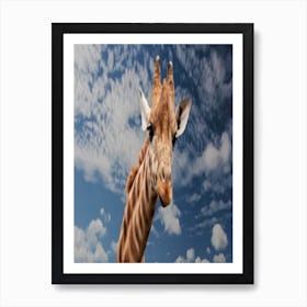 Giraffe Art Print