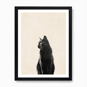 Black Cat Art Print