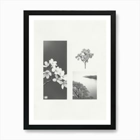 Cherry Blossom Flower Photo Collage 1 Art Print