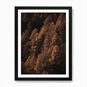 Dark Amber Forest Art Print