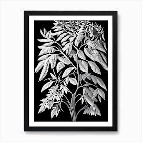Tree Of Heaven Leaf Linocut Art Print