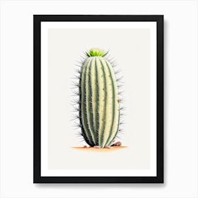 Stenocactus Cactus Marker Art 1 Art Print