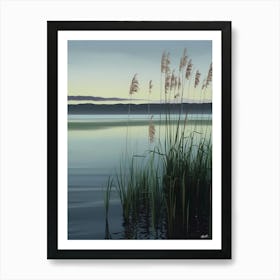 Reeds By The Lake Póster