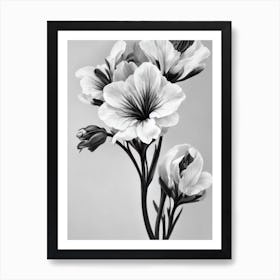 Snapdragons B&W Pencil 3 Flower Art Print