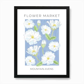 Flower Market Mountain Avens - white flowers on blue Art Print