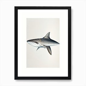 Dusky Shark Vintage Art Print