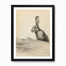 Flemish Giant Rabbit Drawing 3 Art Print