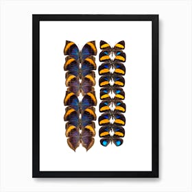 Two Rows Of Orange Butterflies Art Print