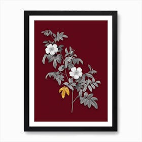 Vintage Musk Rose Black and White Gold Leaf Floral Art on Burgundy Red n.0845 Art Print