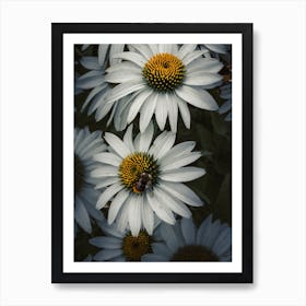 Bee On Daisy Art Print