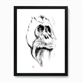 Orangutan 1 Art Print