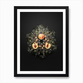 Vintage Nectarine Fruit Wreath on Wrought Iron Black n.0620 Art Print