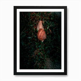 Snail In The Green Grass Art Print