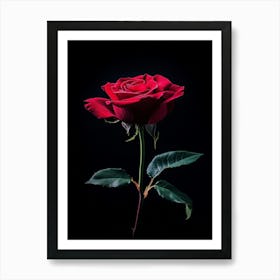 Single Red Rose On Black Background 14 Art Print