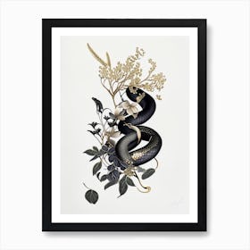 Texas Indigo Snake Gold And Black Art Print