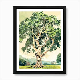 Linden Tree Storybook Illustration 2 Art Print