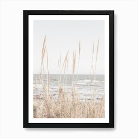 Beach Grass_2192486 Art Print