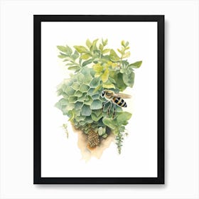 Bicolored Striped Sweat  Bee Beehive Watercolour Illustration 1 Art Print