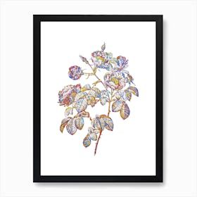 Stained Glass Tomentose Rose Mosaic Botanical Illustration on White n.0196 Art Print