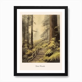 Muir Woods Art Print