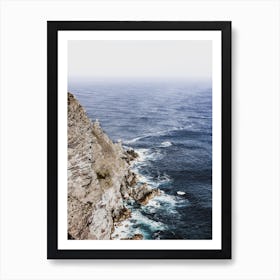 Cape Of Good Hope Art Print