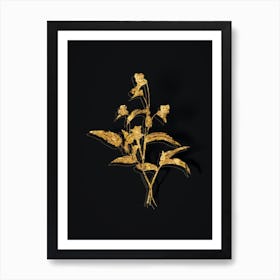 Vintage Blue Spiderwort Botanical in Gold on Black n.0107 Art Print