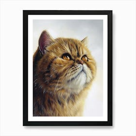 Exotic Shortrhair Cat Painting 4 Art Print
