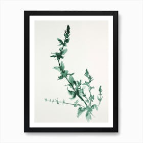 Green Ink Painting Of A Black Stem Spleenwort 3 Art Print