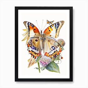 Painted Lady Butterfly Decoupage 1 Art Print