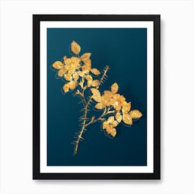 Vintage Spiny Leaved Rose of Dematra Botanical in Gold on Teal Blue Art Print