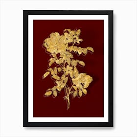 Vintage Red Sweetbriar Rose Botanical in Gold on Red n.0050 Art Print