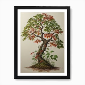 Bonsai Tree Art Print