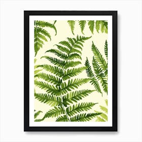 Pattern Poster Boston Fern 2 Art Print