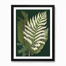 Sensitive Fern 4 Vintage Botanical Poster Art Print