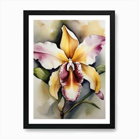 Brazil National Flower Orchid Art Print