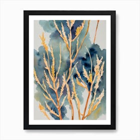 Acropora Valida Vintage Graphic Watercolour Art Print