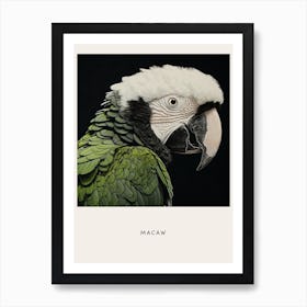 Ohara Koson Inspired Bird Painting Macaw 2 Poster Art Print