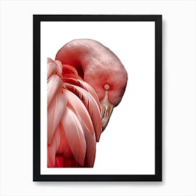 Pink Flamingo Profile Art Print