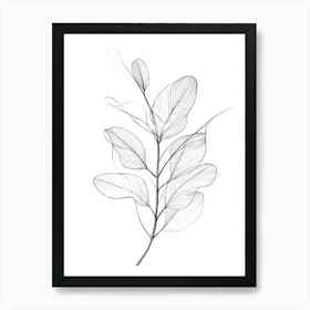 Eucalyptus Leaf Art Print