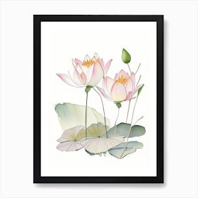 Lotus Flowers In Garden Pencil Illustration 2 Art Print