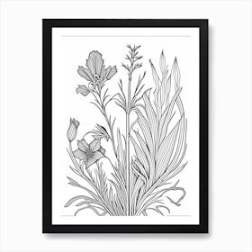 Orris Root Herb William Morris Inspired Line Drawing 1 Art Print