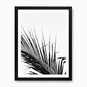 Palm Leaf In Black And White Art Print