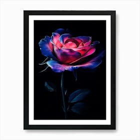 Pink Rose 8 Art Print