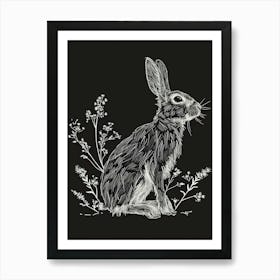 Himalayan Rabbit Minimalist Illustration 3 Art Print