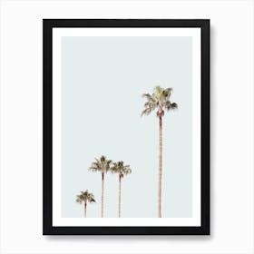 Palm Trees In The Desert Art Print
