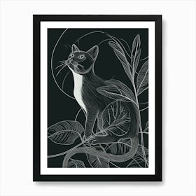 Tonkinese Cat Minimalist Illustration 4 Art Print