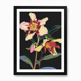 Neon Flowers On Black Hellebore 1 Art Print