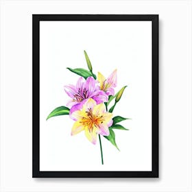 Lilies Watercolour Flower Art Print